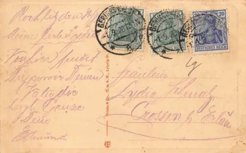 Blick vom Schweizerhaus Rochlitz in Sachsen AK 1920