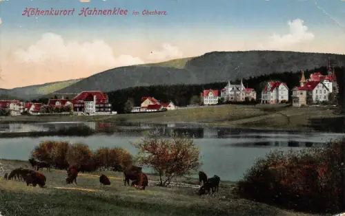 Höhenkurort Hahnenklee im Oberharz Niedersachsen Postkarte AK 1924