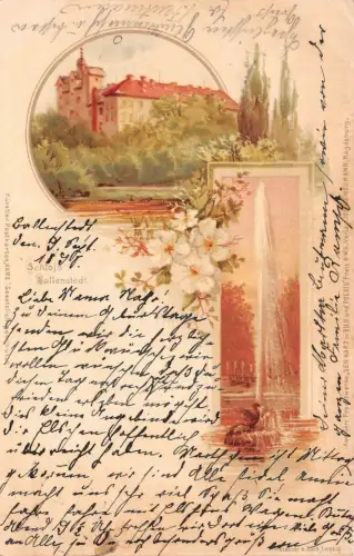 Schloss Ballenstedt Postkarte AK 1898