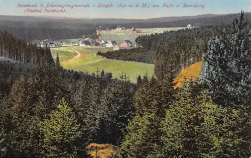 Totalansicht Steinbach bei Johanngeorgenstadt Erzgebirge Sachsen AK 1925