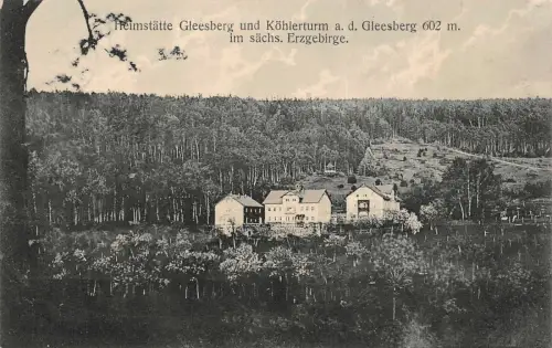 Heimstätte Gleesberg und Köhlerturm im sächs. Erzgebirge AK 1916