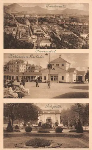 Franzensbad Totalansicht Kohlensäure-Gasbäder Salzquelle Postkarte AK
