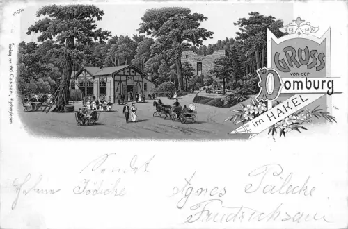 Gruss von der Domburg im Hakel Litho Postkarte 1898