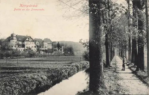 Partie an der Promenade in Königsbrück Sachsen Postkarte AK 1917