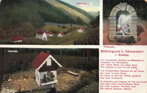 Stadtansicht Bittnergrund mit Waldmühle bei Görbersdorf Schlesien Postkarte AK