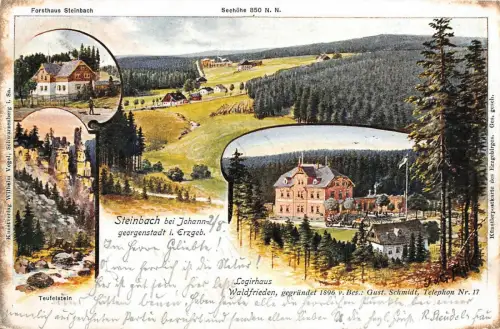 Forsthaus und Lagirhaus Steinbach Erzgebirge Sachsen Postkarte AK 1906