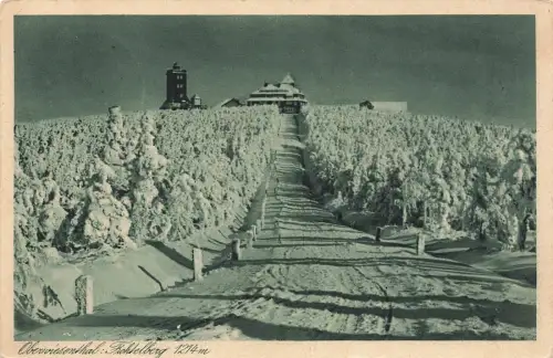 Blick zum Fichtelberg in Oberwiesenthal Erzgebirge Sachsen Postkarte AK 1929