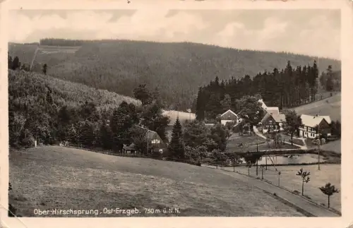 Sommerfrische Ober-Hirschsprung Erzgebirge Sachsen Postkarte AK 1942