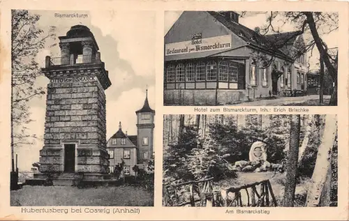 Hubertusberg mit Hotel und Bismarckturm bei Coswig Sachsen-Anhalt AK 1944