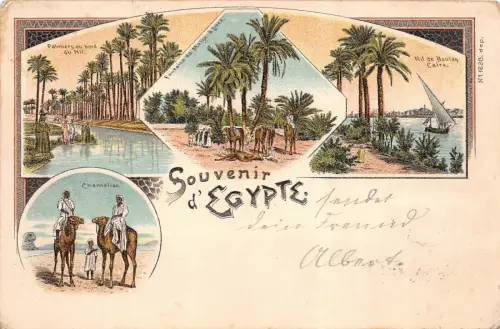 Souvenir d' Egypte Nil de Boulaq Caire Chamelier Postkarte AK 1900