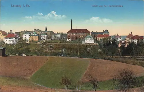 Blick von der Saxoniabank auf Leisnig Sachsen Postkarte AK 1916