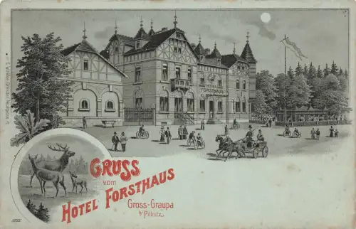 Gruß vom Hotel in Gross Graupa bei Pillnitz Sachsen Litho Mondschein-Postkarte