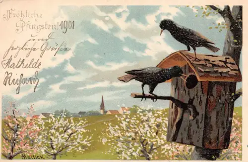 Pfingsten 1901 Mailick Postkarte