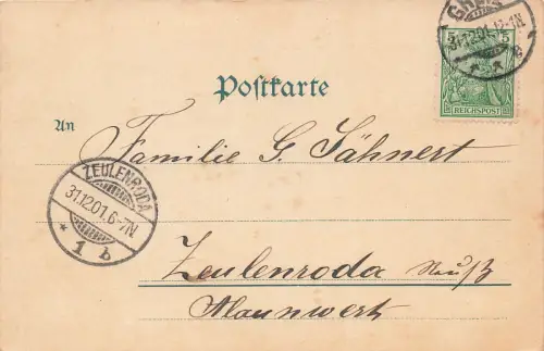 Stadtansicht von Greiz Vogtland Thüringen Postkarte AK 1901
