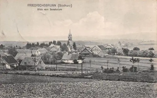 Friedrichsbrunn (Südharz) Blick vom Sanatorium Postkarte AK