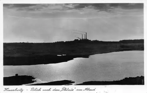 Meuselwitz Blick nach dem "Phönix" am Abend Feldpost AK 1941