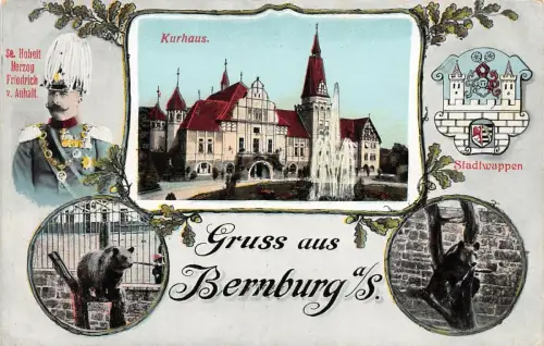 Gruss aus Bernburg a/S. Kurhaus Stadtwappen AK