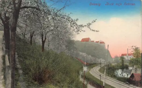 Blick aufs Schloss an den Gleisen Leisnig Sachsen Postkarte AK 1916