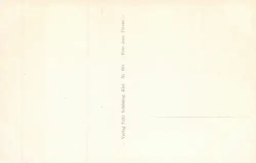 Holst. Schweiz Kellersee Postkarte AK