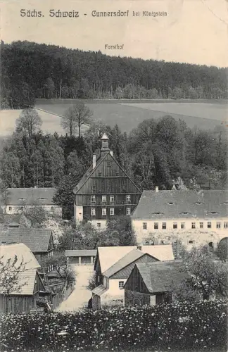 Forsthof und Sommerfrische Cunnersdorf bei Königstein Sachsen Postkarte AK 1911