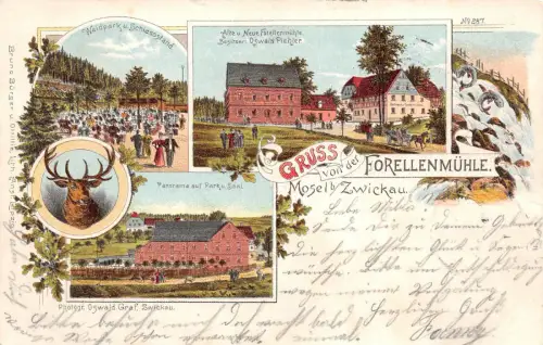 Mosel Zwickau Sachsen Restaurant Forellenmühle Litho Postkarte 1898