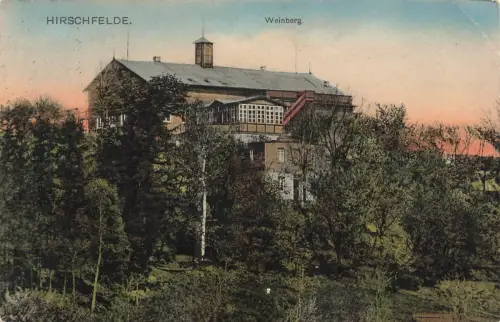 Weinberg Hirschfelde Zittau Sachsen Postkarte AK 1916
