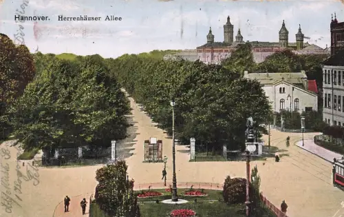 Herrenhäuser Allee in Hannover Niedersachsen Postkarte AK 1916