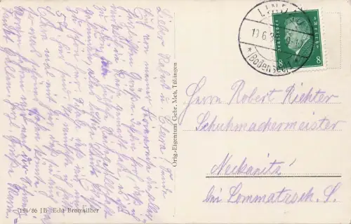 Gesamtansicht von Lindau mit Alpen Bayern Postkarte AK 1930