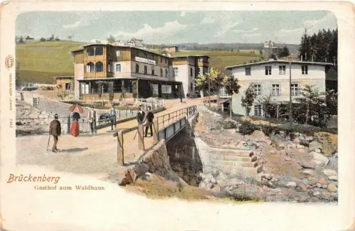 AK Brückenberg Sachsen Gasthof zum Waldhaus Wildenthal