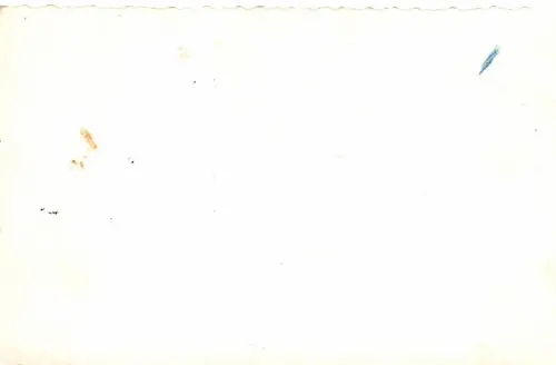 Görlitz Blick nach der Landeskrone Orig. Foto