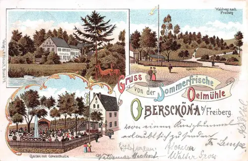 Gruss von der Sommerfrische Oelmühle, Oberschöna b. Freiberg, Postkarte 1901