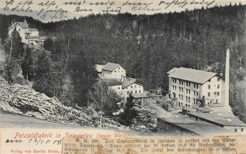 Petzoldfabrik in Spiegelau Sägewerk bayer. Wald AK 1904