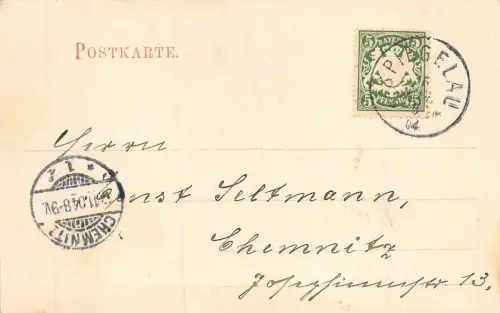 Petzoldfabrik in Spiegelau Sägewerk bayer. Wald AK 1904