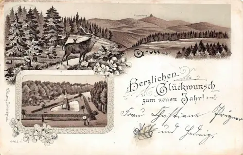 Glückwunsch zum neuen Jahr Fichtelberg Oberwiesenthal AK 1900