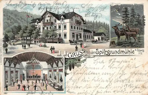 Gruss aus der Spitzgrundmühle b. Coswig i/S. Postkarte AK 1901