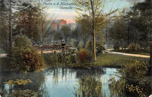 Partie a. d. Küchwald Chemnitz Postkarte 1912