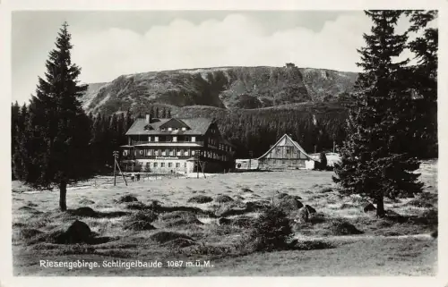 Riesengebirge Schlingelbaude 1067 m. ü. M. Postkarte AK