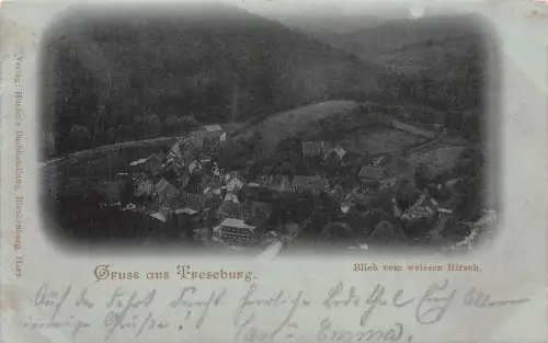 Gruss aus Treseburg Blick vom weissen Hirsch Postkarte AK 1898