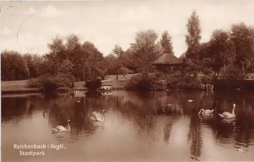 Reichenbach i. Vogtl.. Stadtpark Postkarte AK 1929