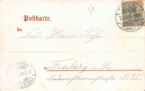 Truppen-Uebungsplatz Zeithain König-Georg-Strasse AK 1905