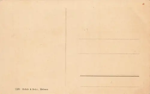 Turm des Rochlitzer Berges in Rochlitz Sachsen Postkarte AK