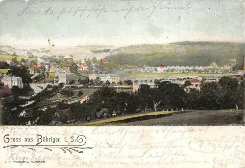 Gruss aus Böhrigen i. S. Ansicht Panorama Postkarte AK 1902