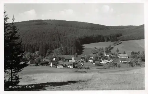 Sommerfrische Wildenthal im Erzgebirge Sachsen Postkarte AK