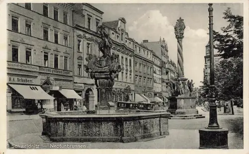 Schweidnitz Stadt Świdnica Neptunbrunnen Postkarte AK