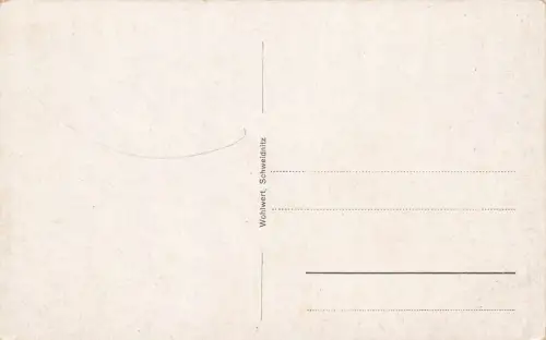 Schweidnitz Stadt Świdnica Neptunbrunnen Postkarte AK