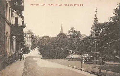 Freiberg i. Sa. Hornstrasse mit Hornbrunnen AK