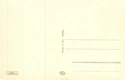 Auerbach i. V. Blick vom Stadtpark Postkarte AK