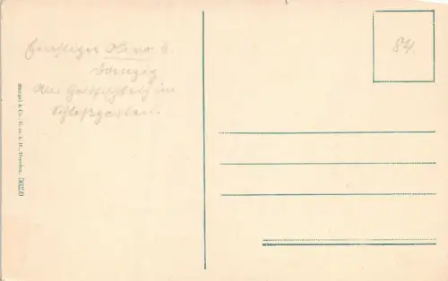 Oliva Goldfischteich Danzig Postkarte AK