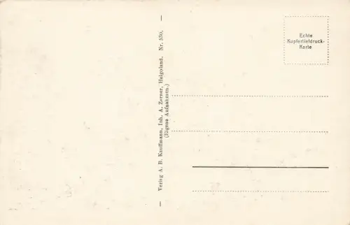 Blick auf Rhede mit Dampfer und Düne Helgoland Schleswig-Holstein Postkarte AK