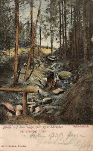 Partie auf dem Wege zum Rosinhäuschen bei Freiberg Sachsen Postkarte AK 1908